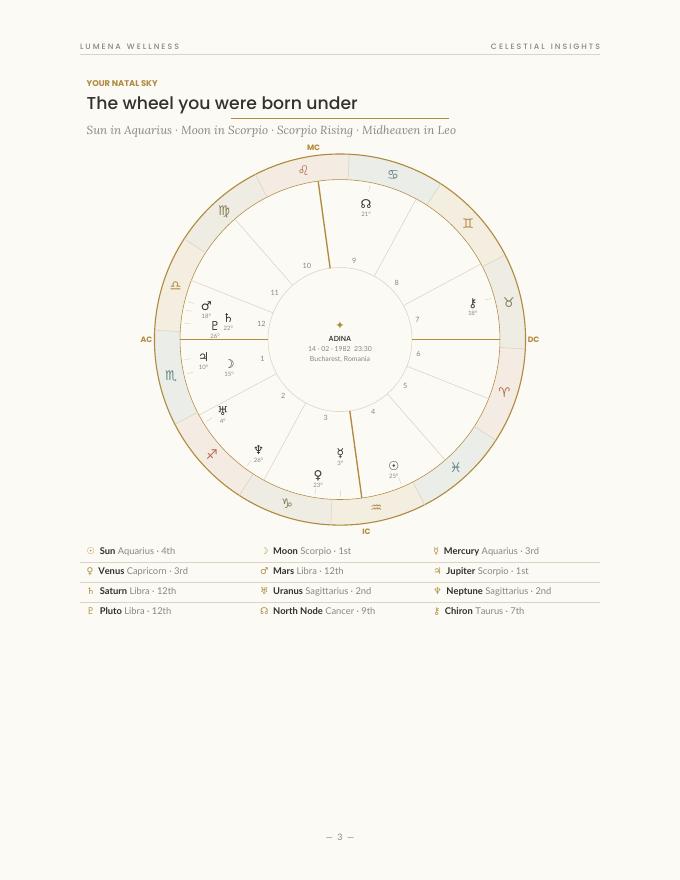 Sample natal chart wheel from a career reading